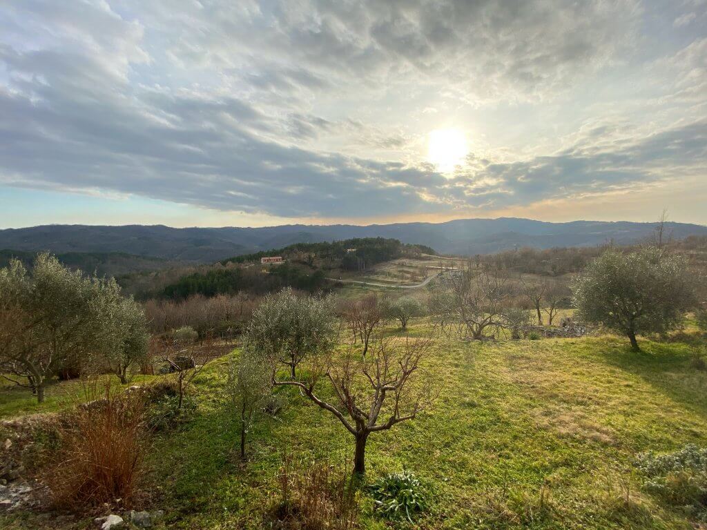 Panorama de la campagne istrienne